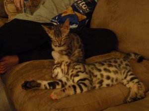 BEGPA010047.jpg