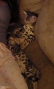 BEGPA020067.jpg