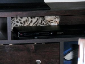 BEGPA020072.jpg