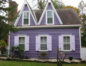 purplefromroad.jpg