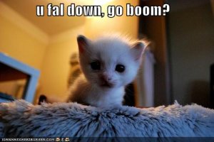 lolcatsufalldowngoboom.jpg