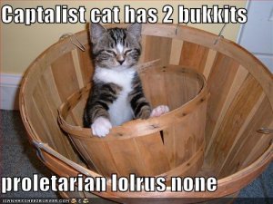 lolcatscapitalistcat.jpg