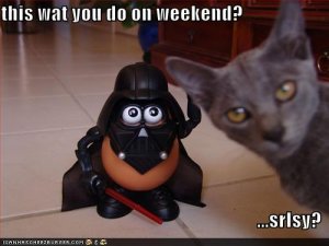 lolcatsthiswatyoudoonweekend.jpg