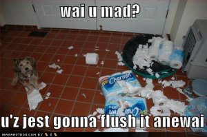 loldogswaiumad.jpg