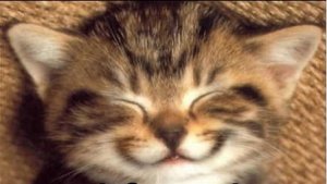 squeeeezeb.jpg