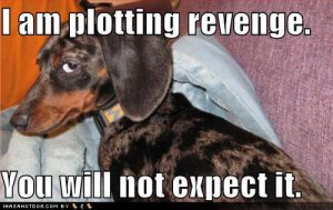 loldogsplottingrevenge.jpg