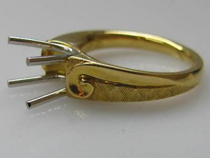 Bondanza setting2.JPG