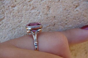 DSC03439rs1.JPG