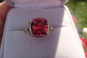 DSC03606rs.JPG