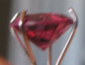 IMG_4261.JPG