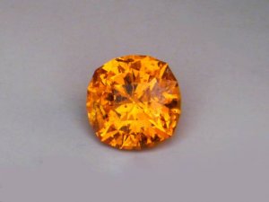 tzspesscush1a.jpg