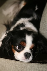 Baby Oliver139.JPG