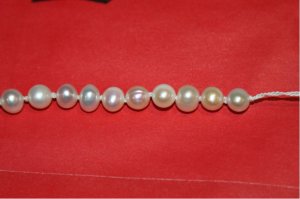 pearls 005 [800x600].JPG