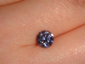DSC04416 (Small).JPG