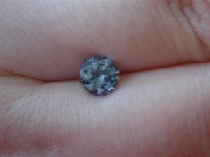 DSC04504 (Small).JPG