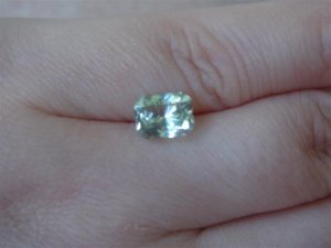 DSC04545 (Small).JPG