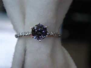 DSC04569 (Small).JPG
