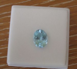 IMG_1186aqua.jpg