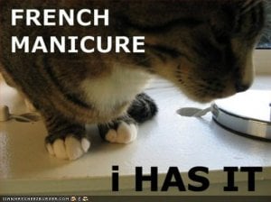 fremankitty.jpg
