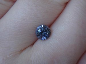DSC04513 (Small).JPG