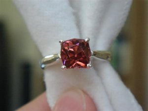 DSC04568 (Small).JPG
