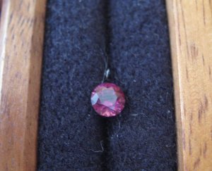 IMG_1199ruby.jpg
