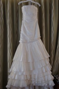 HH wedding dress pic.jpg