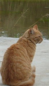 lisseysummer09.jpg