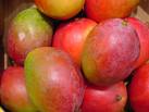 mango images.jpg