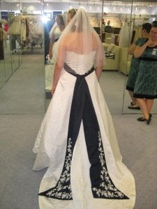 backwithveil01.jpg