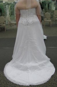 DB Wedding Dresses039 back of seventh.jpg