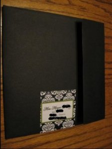 Morgie outside wrap 3.jpg