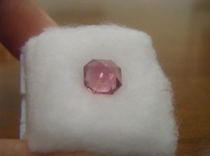 pinktourmasschermoz 008.jpg