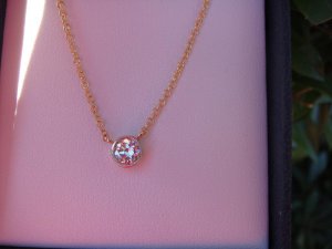DSC01658rs.JPG