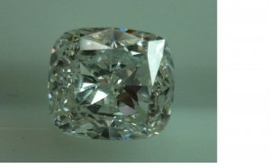 nkp33picture.JPG