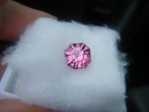 pinktourmasschermoz 009.jpg pinktourmasschermoz 009.jpg