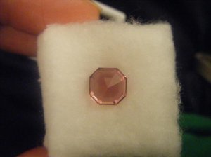 pinktourmasschermoz 007.jpg