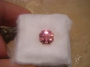 pinktourmasschermoz 004.jpg