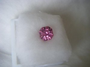 pinktourmasschermoz 010.jpg