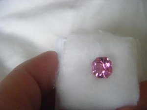pinktourmasschermoz 011.jpg