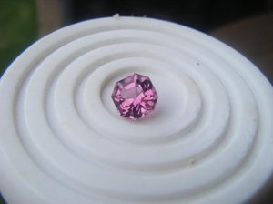 pinktourmasschermoz 0115.jpg