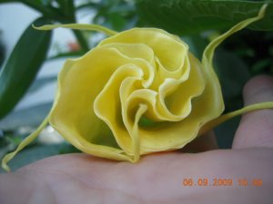 SSCN6006.JPG