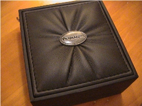 GurhanFlakeEarringsBox1.jpg