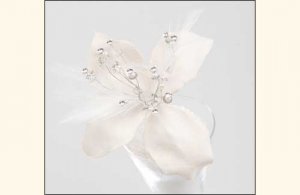JRflower3.jpg