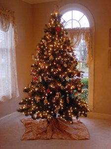 junebtree#1.JPG