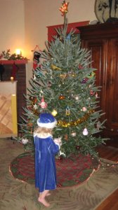 smallerxmas2009bluegirl.jpg