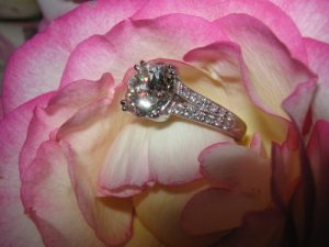 IMG_0155_1.jpg