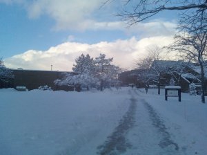 MIwinterday.jpg