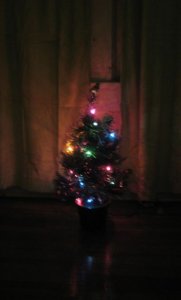 tinytreeinthedark.jpg