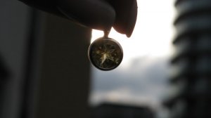 PSCharityCitrineStar.jpg